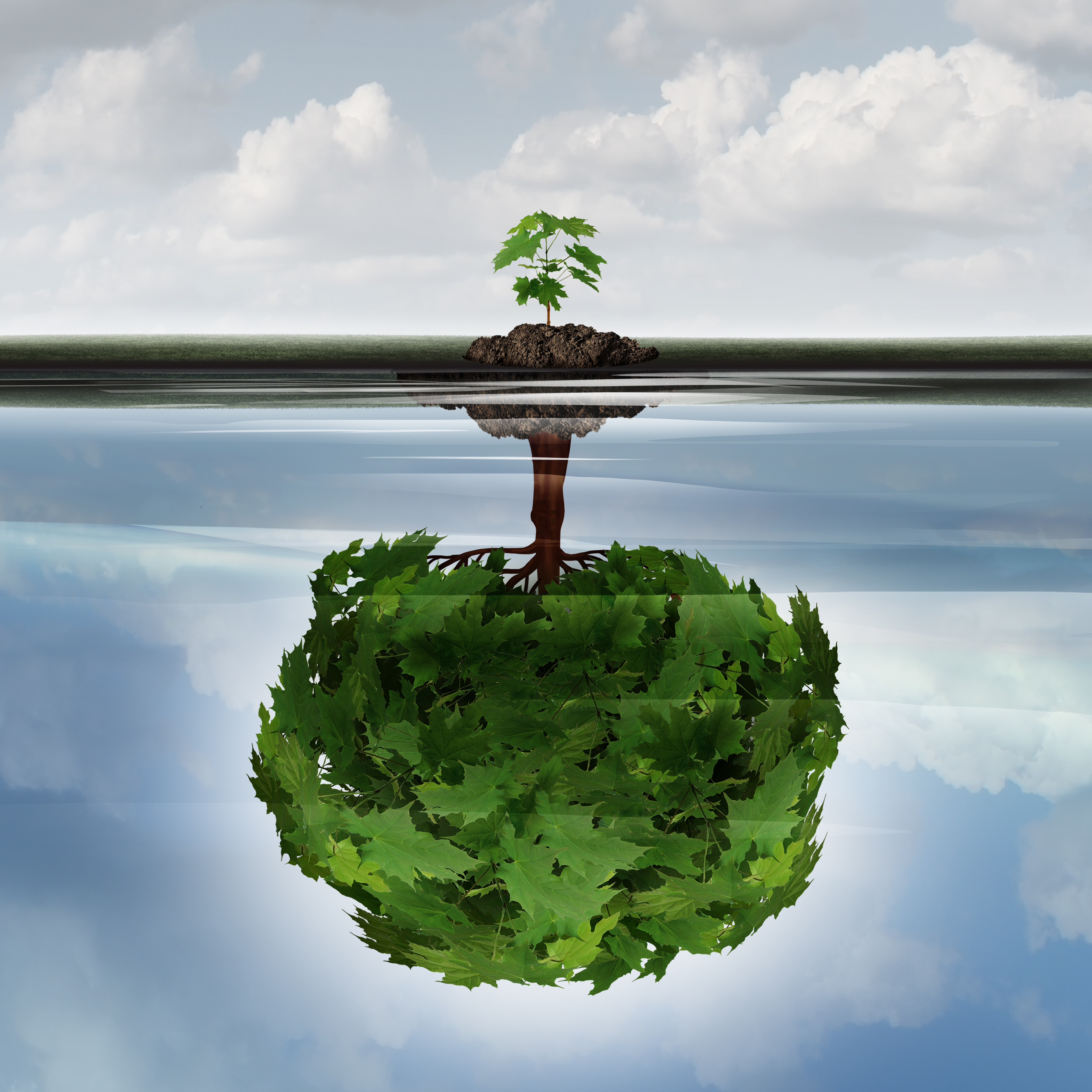 Potential success concept as a symbol for aspiration philosophy idea and determined growth motivation icon as a small young sappling making a reflection  of a mature large tree in the water with 3D illustration elements.